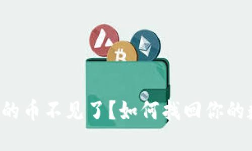 TP钱包里的币不见了？如何找回你的数字资产！